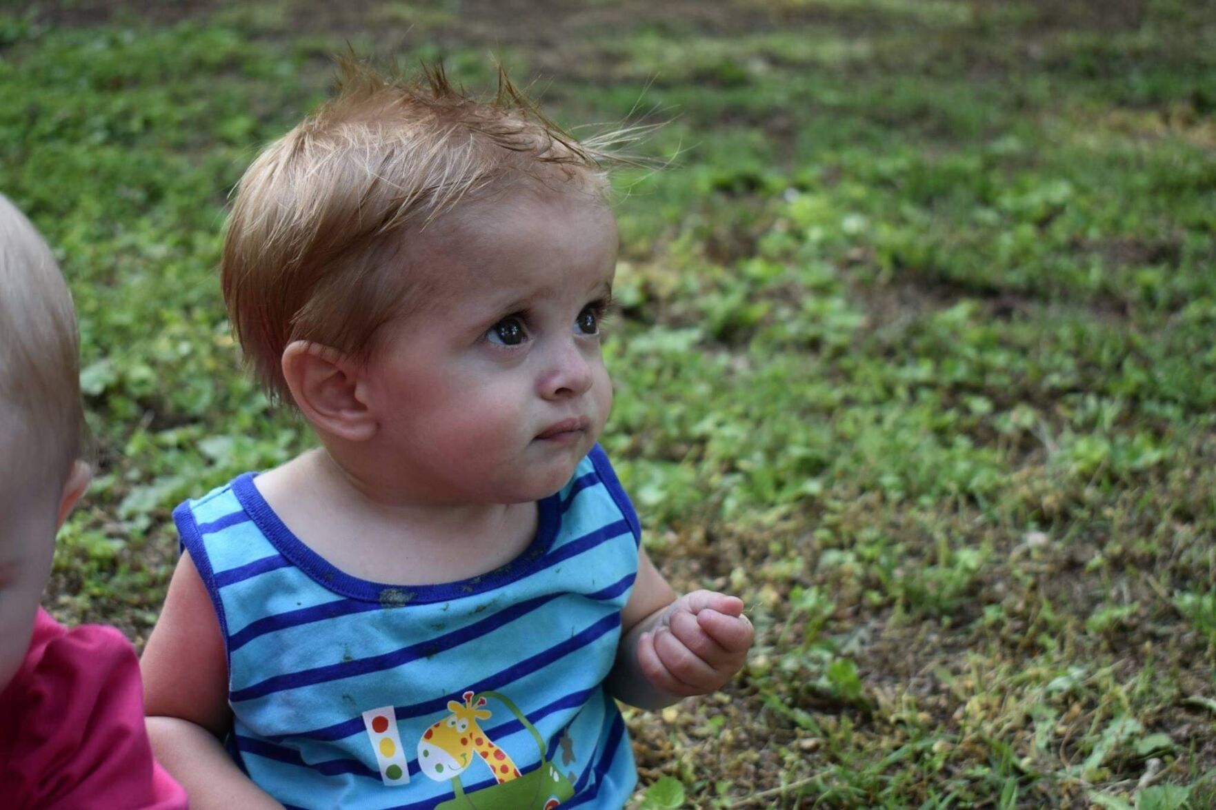 Little Joe